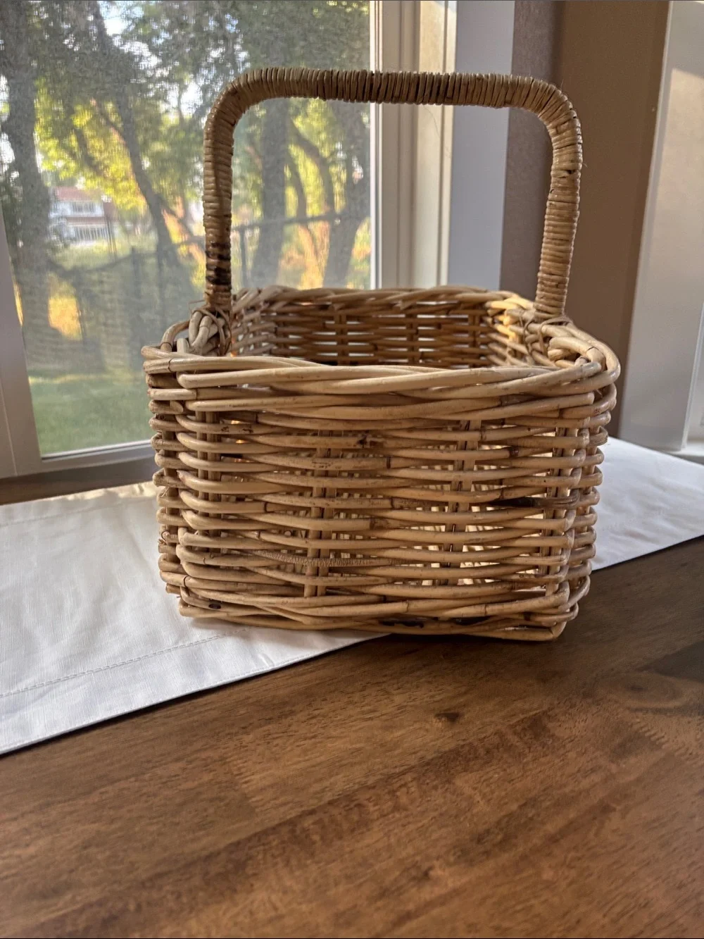 Vintage Handwoven Natural Rattan Basket with Handle